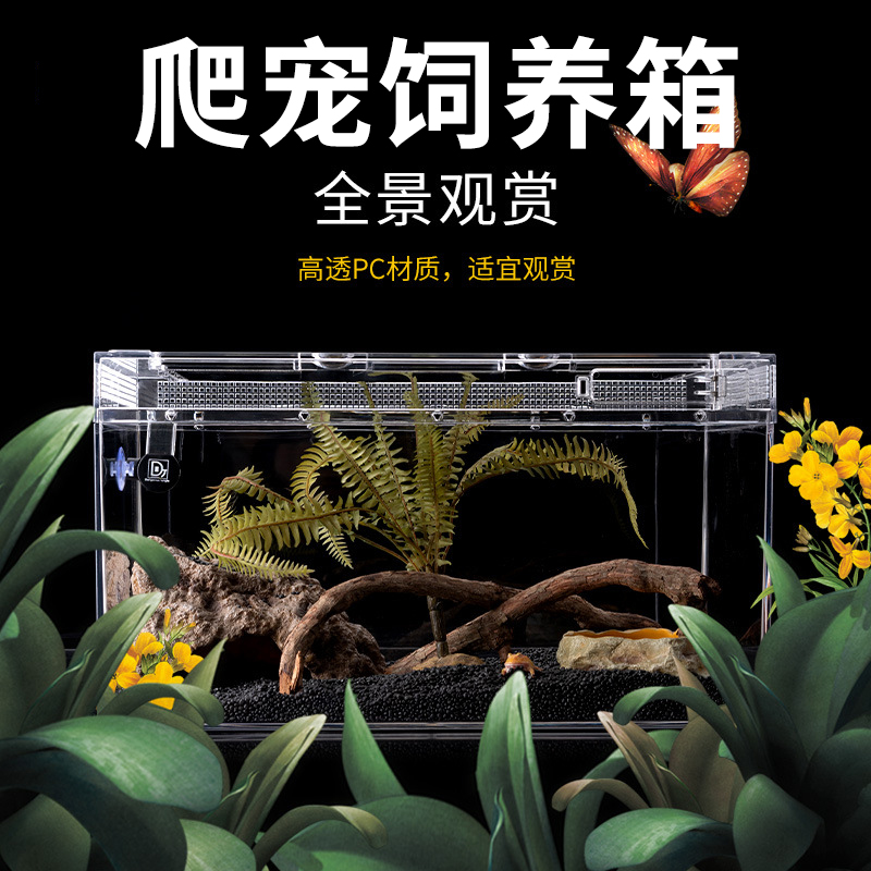 爬宠生态饲养玻璃箱爬虫躲避屋守宫蜥蜴蜈蚣蜘蛛蛇乌龟角蛙寄居蟹