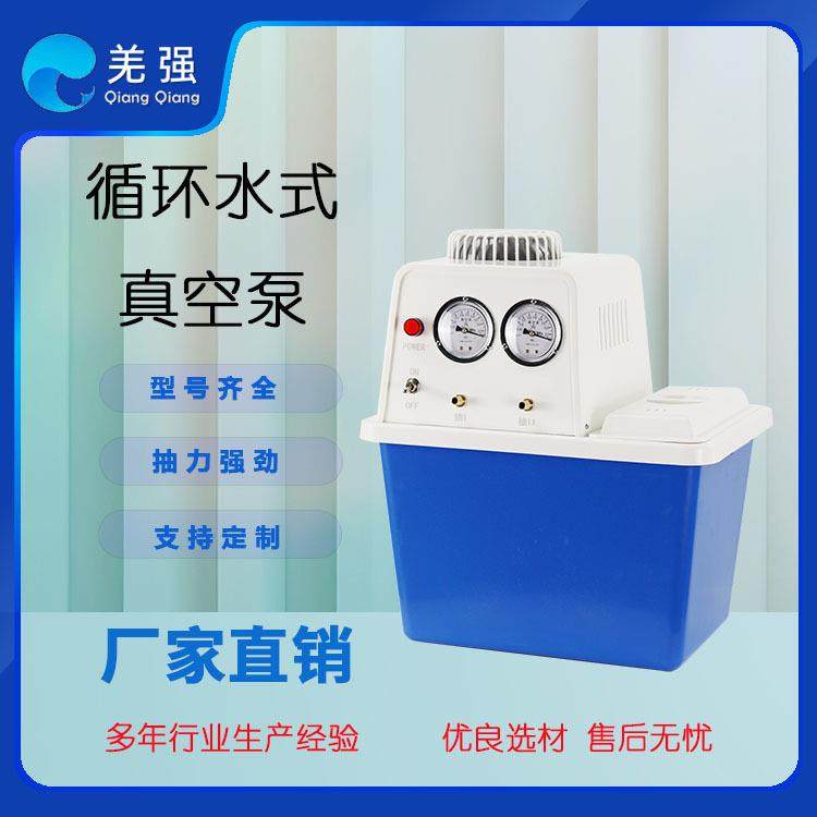 SHZ-DIII工业及循环水真空泵连续工作耐高温防腐设计配套过滤系统