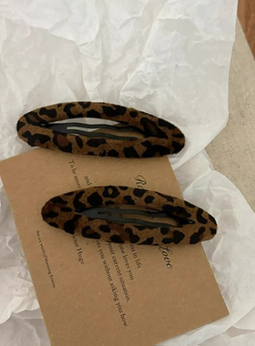 复古豹纹bb夹侧边夹女2025新款高级感前额碎发刘海夹发夹气质发饰