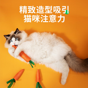 啃咬猫玩具自嗨猫咪玩具耐啃咬可发声解闷神器宠物玩具 新款
