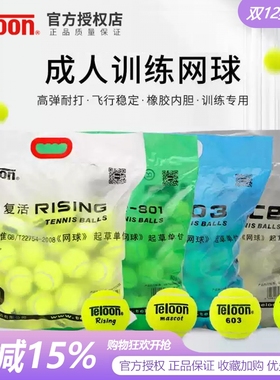 天龙rising复活球成人ACE训练603耐打比赛球高弹耐磨袋装散装好用