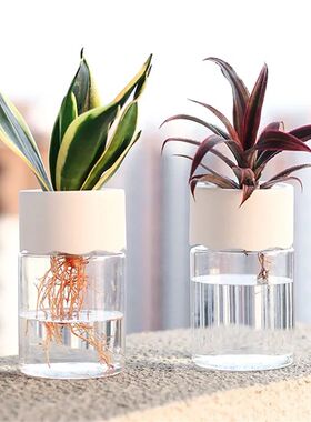 Mini Hydroponic Flower Pot Transparent Soilless Plant Vase f