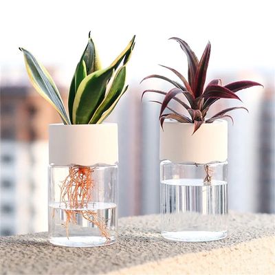 Mini Hydroponic Flower Pot Home Vase Decor Transparent Imita