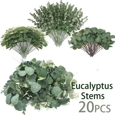 20PCS Artificial Eucalyptus Leaves Stems Bulk Silver Dollar