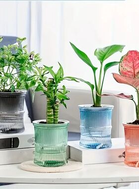 Lazy Hydroponic Flower Pot Automatic Water-Absorbing Flowerp