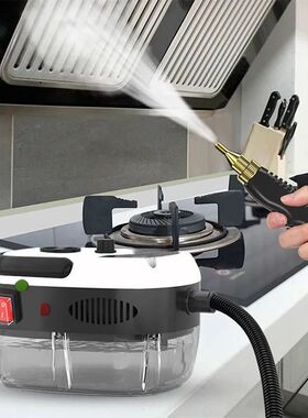 2025 NEW Steam Cleaner High Temperature Disinfection Air Con