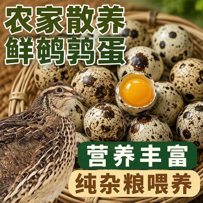 40枚农家养殖每天现捡纯杂粮喂养的妈妈放心宝宝吃的安心营养美味