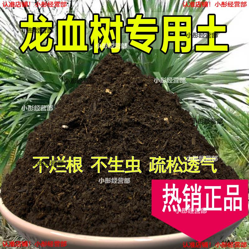 栽种龙血树专用土壤肥料通用型混合专用通用花土蓬松泥土无菌土壤