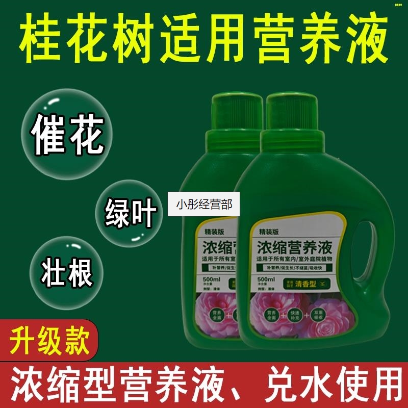桂花树营养液通用型桂花树专用营养液花肥绿植水培植物肥料液体肥