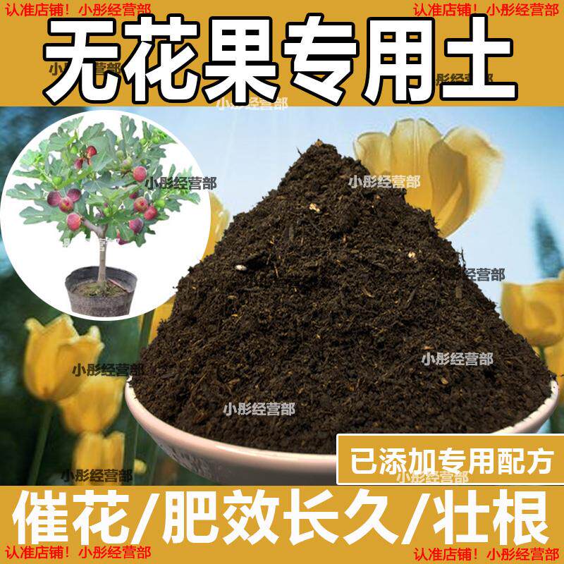 无花果专用土盆栽营养土果树专用土无花果营养土壤种植土有机肥料