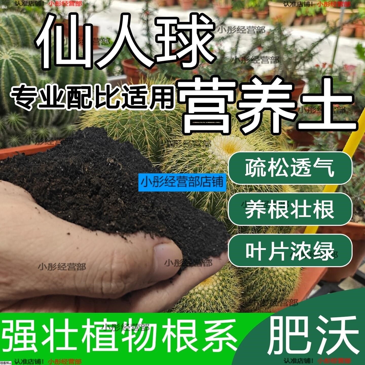 仙人球专用养花土营养土花土仙人掌培养土壤种植土专用养花肥料