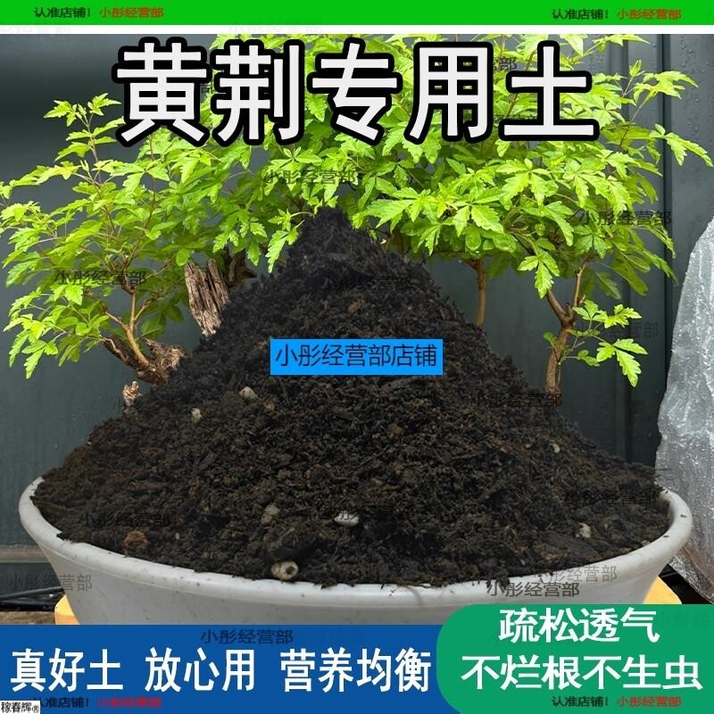 黄荆专用土盆栽阳台盆景种花养花黄荆营养土通用种植土壤有机肥料