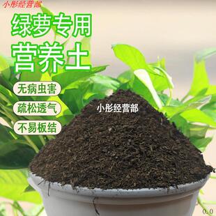 绿萝专用土绿萝专用营养土养花通用型家用种植土绿植有机土壤肥料