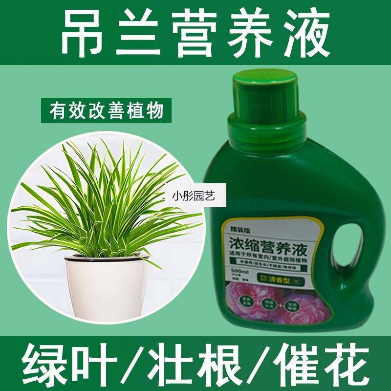 吊兰营养液通用型吊兰专用营养液花肥绿植水培植物肥料花肥浓缩液