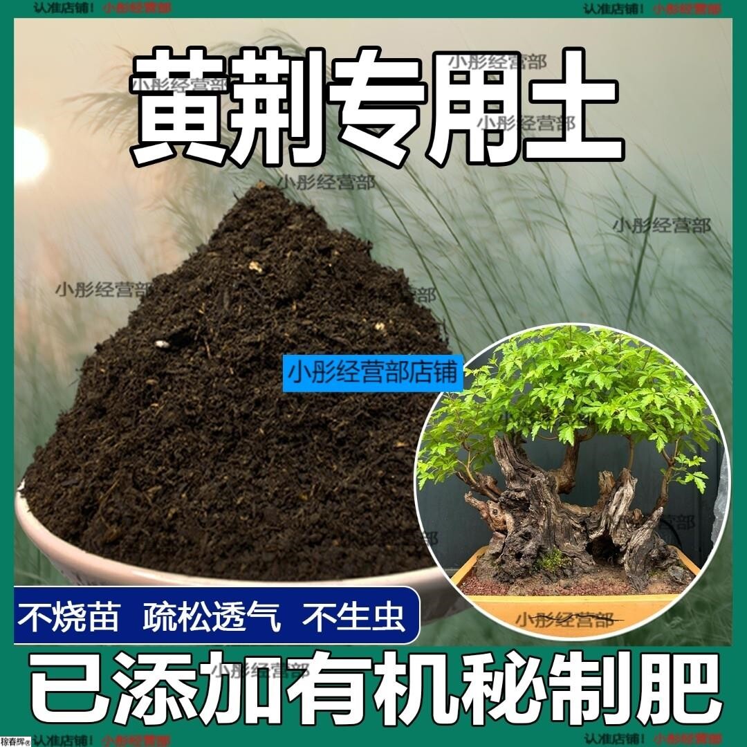黄荆专用土盆栽阳台盆景种花养花黄荆营养土通用种植土壤有机肥料