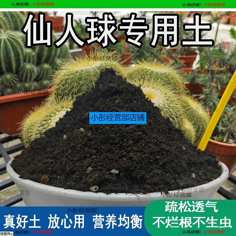 仙人球专用养花土营养土花土仙人掌培养土壤种植土专用养花肥料