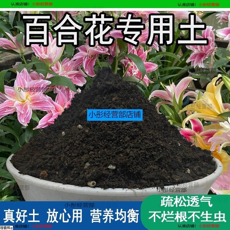土香水百合花专用营养土营养庭院土壤用品阳台花园养花肥料植物土