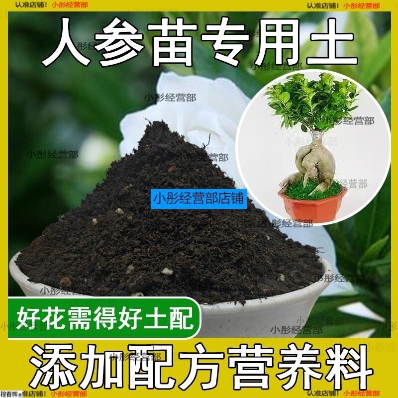 人参苗专用土人参苗土种植土壤营养土盆栽种花泥土透气通用养花土