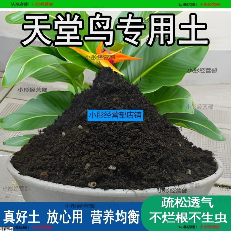 天堂鸟专用土盆栽养花泥土家庭种植土壤透气泥土天堂鸟营养土肥料