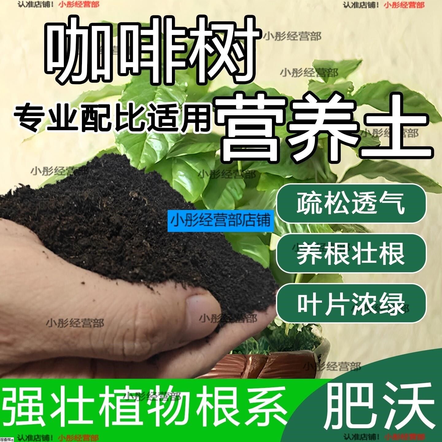 咖啡树专用土咖啡树营养土家用种植土壤家庭盆栽种花养花有机土