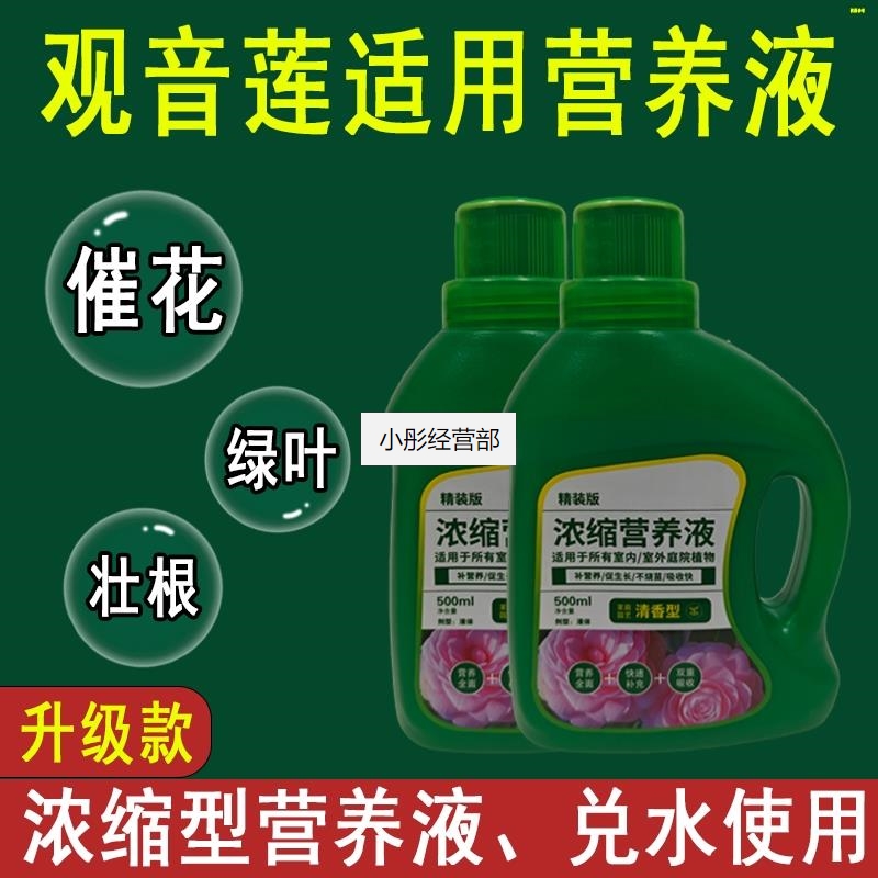 观音莲营养液通用型观音莲专用营养液花肥绿植水培植物肥料液体肥