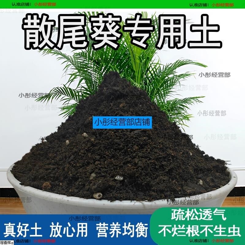 散尾葵专用土家庭盆栽土肥料种花泥土散尾葵营养土专用绿植种植土