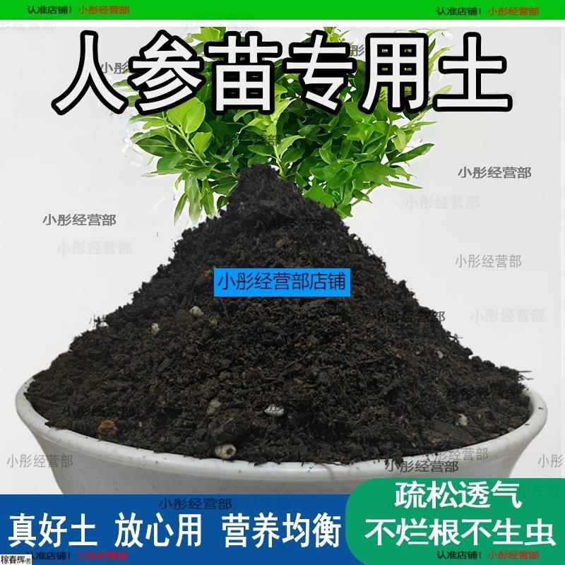 人参苗专用土人参苗土种植土壤营养土盆栽种花泥土透气通用养花土