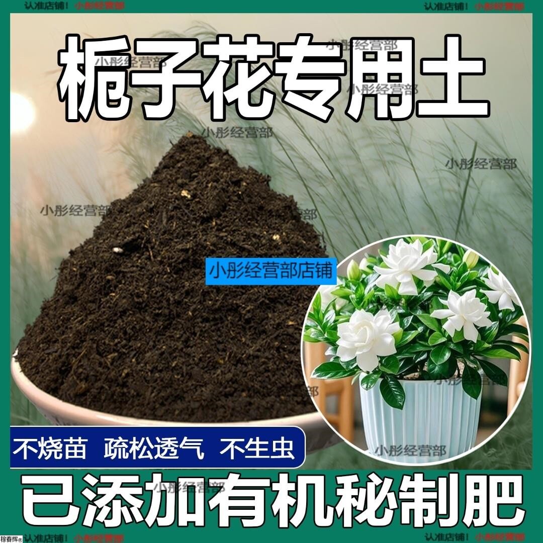 栀子花专用土栀子花专用营养土家庭种植土养花土通用型种花土肥料