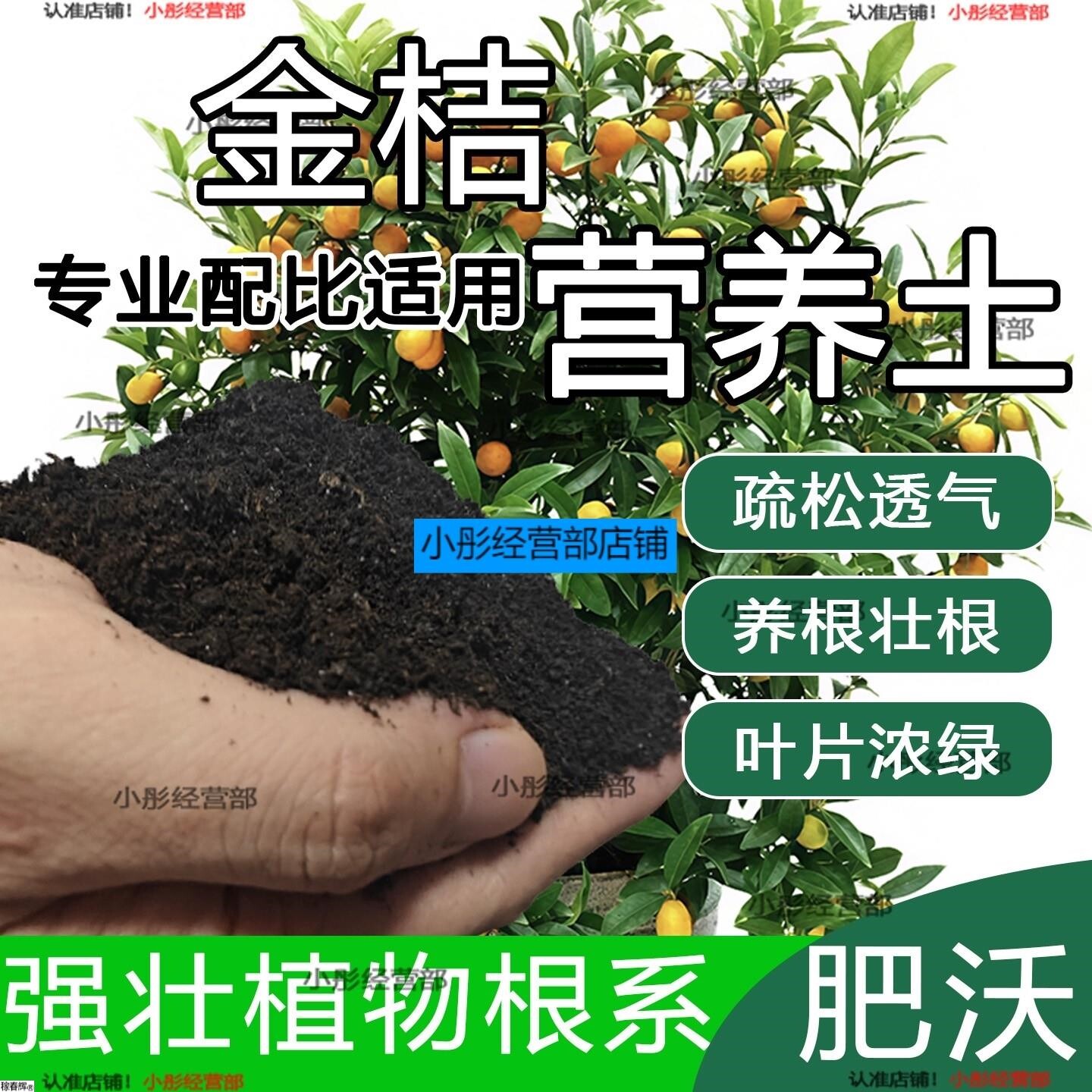 金桔专用土橘子树专用营养土盆栽养花种花土通用种植有机土壤肥料