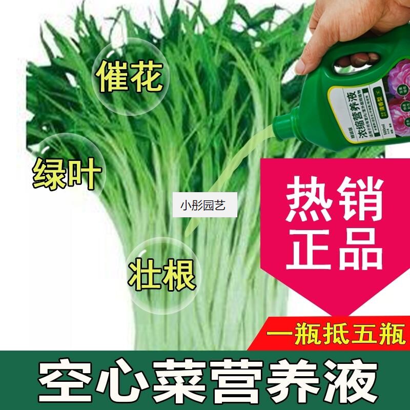 空心菜营养液通用型空心菜专用营养液花肥绿植水培植物肥料液体肥
