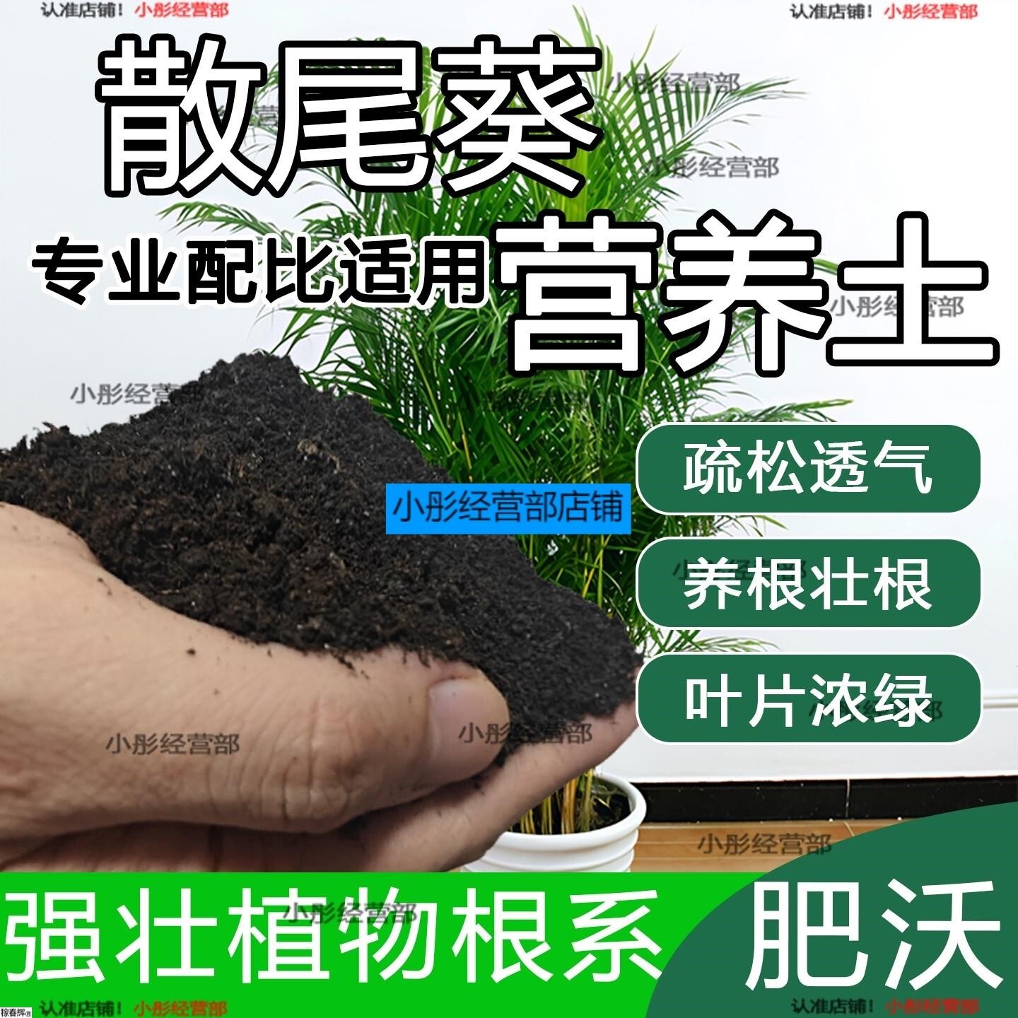 散尾葵专用土家庭盆栽土肥料种花泥土散尾葵营养土专用绿植种植土