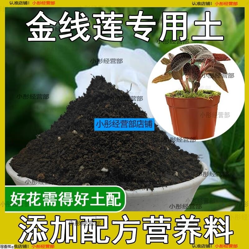 金线莲专用土金线莲专用营养土盆栽土养花种花土通用种植土壤肥料