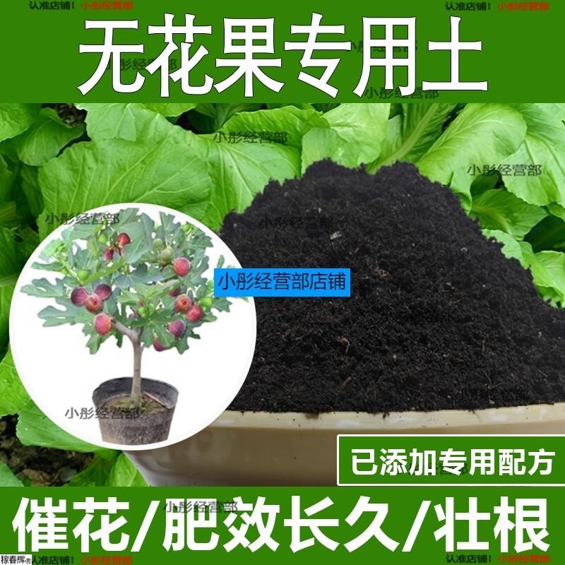 无花果专用土无花果专用营养土酸性土种植土通用土有机土肥料土壤