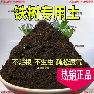 铁树专用土营养土透气通用土壤养花土壤家用种植土有机肥料培养土