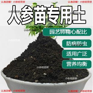 人参苗专用土人参苗土种植土壤营养土盆栽种花泥土透气通用养花土
