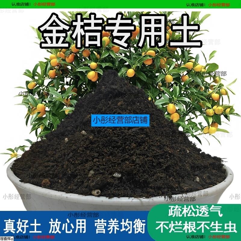 金桔专用土橘子树专用营养土盆栽养花种花土通用种植有机土壤肥料