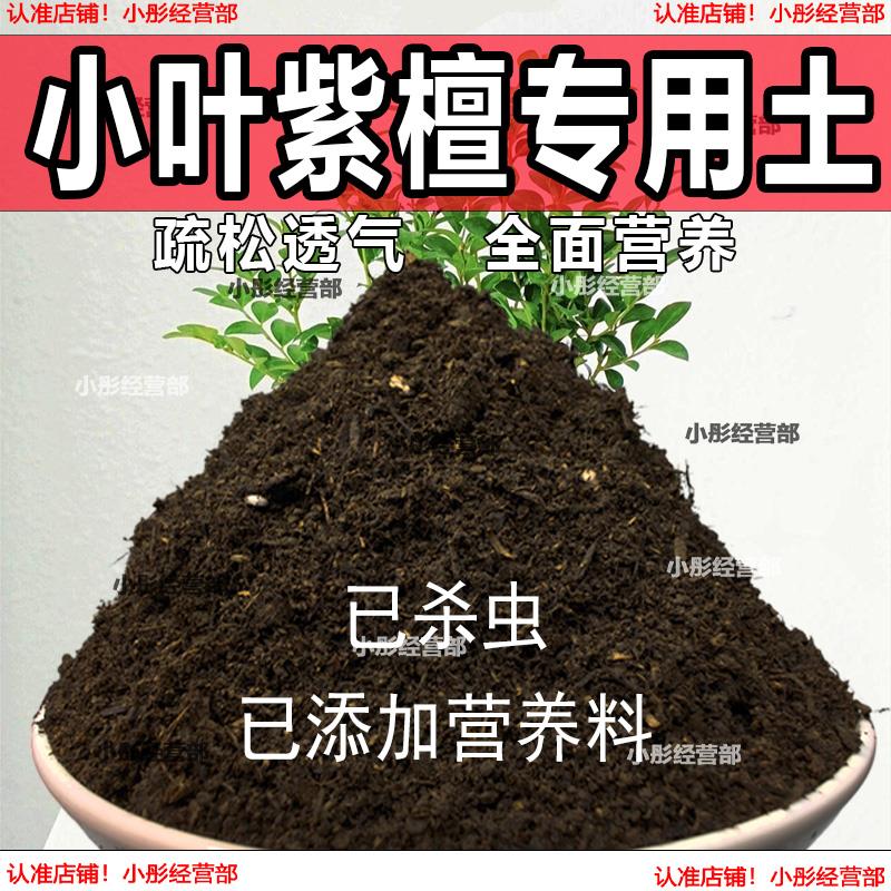 小叶紫檀专用土盆栽配方肥料小叶紫檀营养土透气泥土壤养花种植土