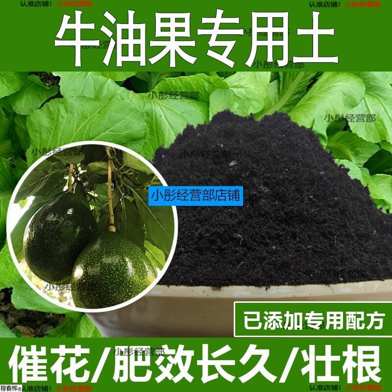 牛油果专用土牛油果专用营养土酸性土种植土通用土有机土肥料土壤