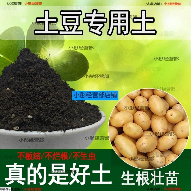 土豆专用土家用种菜种植肥料土有机土壤阳台蔬菜盆栽土土豆营养土
