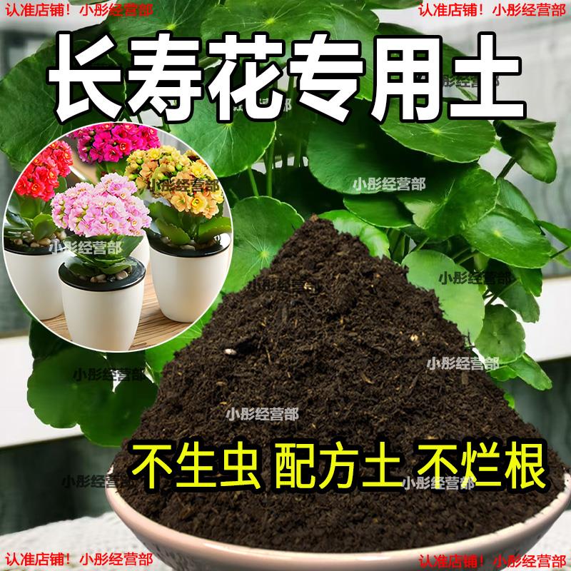 长寿花专用营养土养花种花土通用种植土酸性土壤阳台花园用品肥料