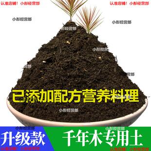 千年木专用土肥料盆栽土壤园艺养花育苗花土阳台千年木营养土蓬松