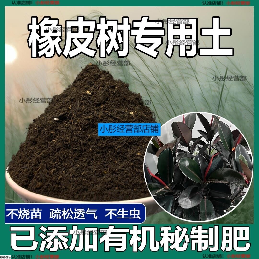 橡皮树专用土盆栽土养花泥土阳台种植土肥料透气泥土橡皮树营养土