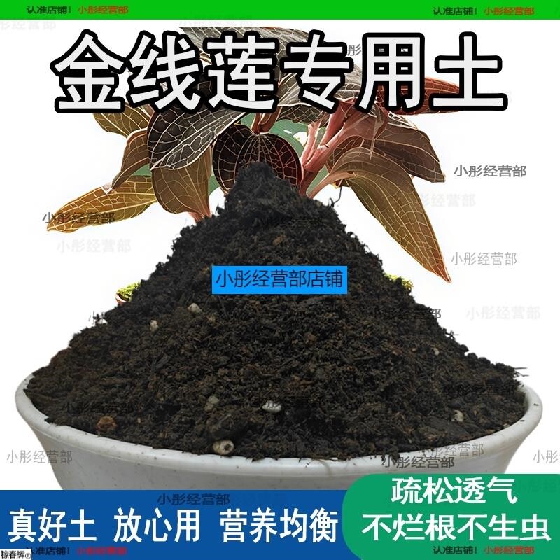 金线莲专用土金线莲专用营养土盆栽土养花种花土通用种植土壤肥料