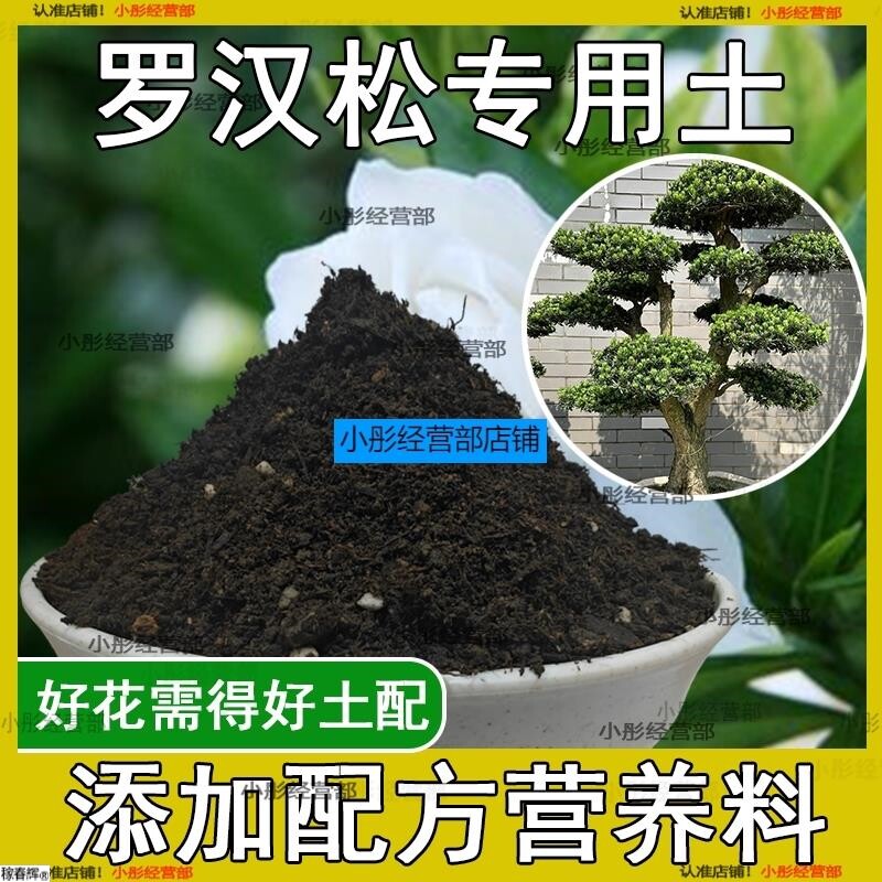 罗汉松专用土罗汉松专用肥料营养土盆栽土养花种花土种植土壤通用