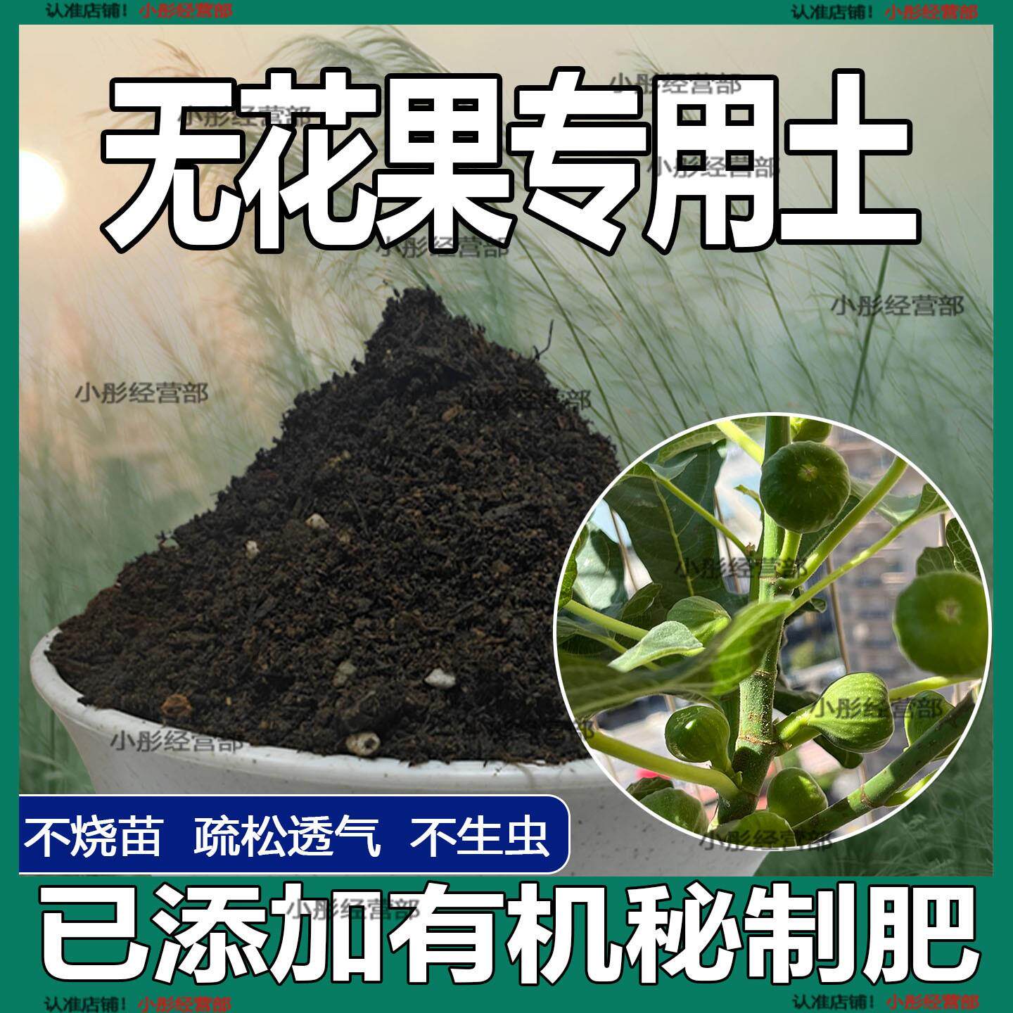 无花果专用土盆栽营养土果树专用土无花果营养土壤种植土有机肥料