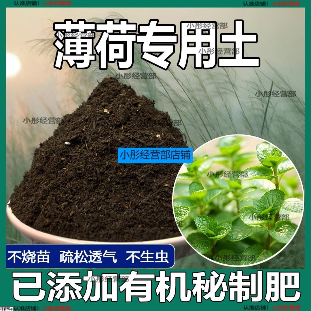 薄荷专用土薄荷土盆栽种植土养花营养土通用种花土壤绿植有机肥料