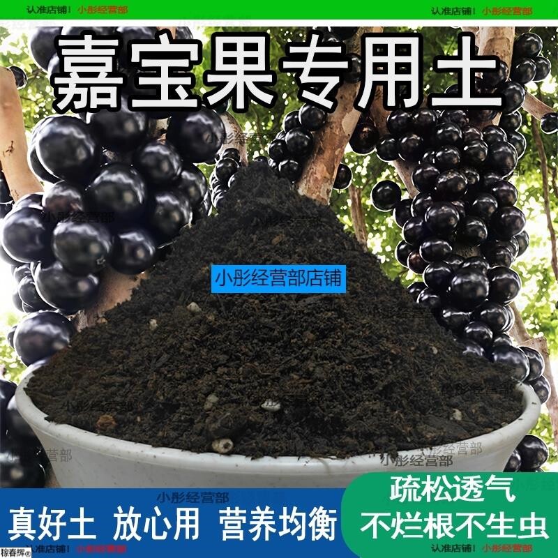 嘉宝果专用土家用植物种植土壤嘉宝果营养土农业果树泥土有机土