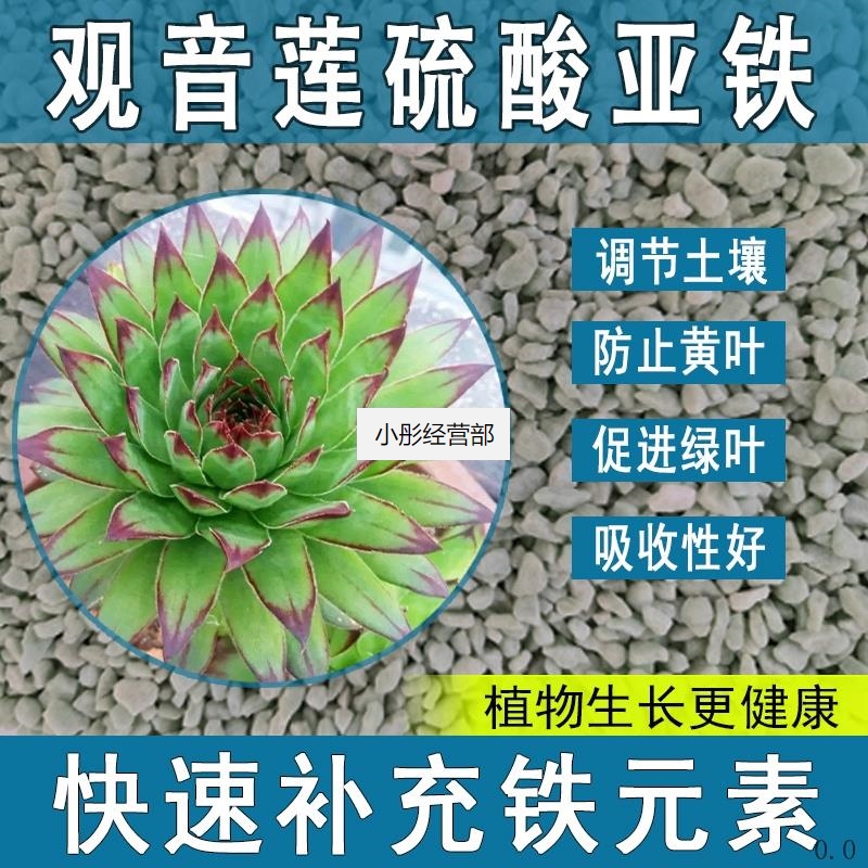 观音莲硫酸亚铁花肥料养花绿植通用调节生长喜酸植物专用肥