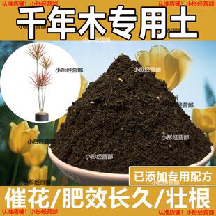 千年木专用土肥料盆栽土壤园艺养花育苗花土阳台千年木营养土蓬松
