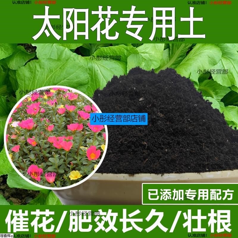 太阳花专用土太阳花专用营养土酸性土种植土通用土有机土肥料土壤